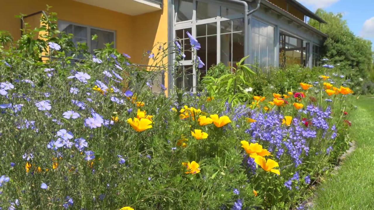 Landhotel Larenzen Kirchham Εξωτερικό φωτογραφία